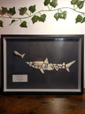 Shark hunting frame